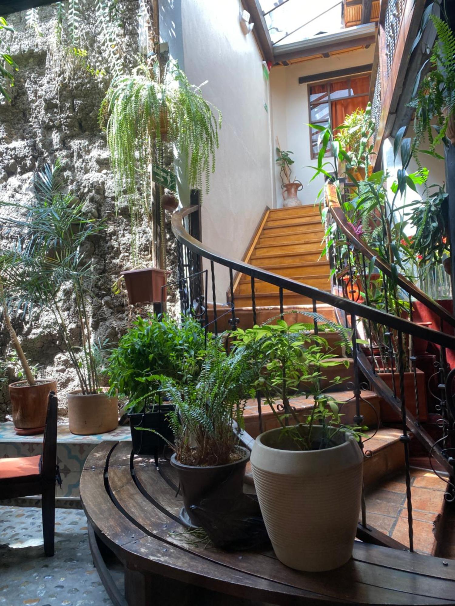 קואנקה Hostal Restaurant La Cigale מראה חיצוני תמונה
